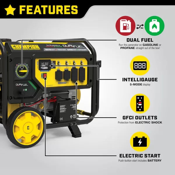 imageChampion Power Equipment 9375Watt Electric Start Dual Fuel Home Backup Portable Generator with and CO Shield93757500Watt  Dual Fuel  Electric Start  CO