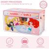 imageIdea Nuova Space Jam A New Legacy Collapsible Durable Toy Storage Trunk with LidDisney Princess