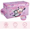 imageIdea Nuova Space Jam A New Legacy Collapsible Durable Toy Storage Trunk with LidMinnie Mouse  Best Friends Forever