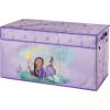 imageIdea Nuova Disney Raya and The Last Dragon Collapsible Childrens Toy Storage Trunk Durable with Lid 30quotx 145quotx 16quotWish