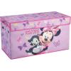 Minnie Mouse / Best Friends Forever