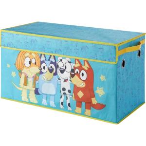 imageIdea Nuova Disney Raya and The Last Dragon Collapsible Childrens Toy Storage Trunk Durable with Lid 30quotx 145quotx 16quotBluey