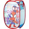 Spidey and His Amazing Friends