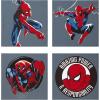 Spiderman Amazing Power & Responsibility