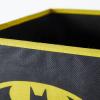 imageIdea Nuova JoJo Siwa Set of 2 Durable Storage Cubes with HandlesBatman