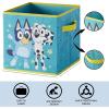 imageIdea Nuova JoJo Siwa Set of 2 Durable Storage Cubes with HandlesBluey