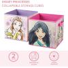 imageIdea Nuova JoJo Siwa Set of 2 Durable Storage Cubes with HandlesPrincess  Multicolor