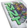 imageIdea Nuova Teenage Mutant Ninja Turtles 3D Tufted Canvas Wall Art Panel for Room Dcor11quotx15quotNinja Turtles