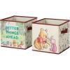 Winnie the Pooh