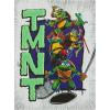 imageIdea Nuova Teenage Mutant Ninja Turtles 3D Tufted Canvas Wall Art Panel for Room Dcor11quotx15quotNinja Turtles
