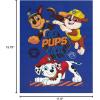 imageIdea Nuova Disney Winnie The Pooh LED Wall Art115quotx1575quot Childrens Hanging Dcor LightUp Artwork for Kids RoomsPaw Patrol  Go Pups Go