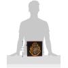 imageIdea Nuova Harry Potter Set of 2 Durable Storage Cubes with Handles