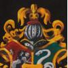 imageIdea Nuova Harry Potter Set of 2 Durable Storage Cubes with Handles