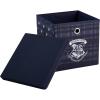 imageHarry Potter Collapsible Storage Cube with removable Lid 10quot Wx10 Hx10 DHarry Potter