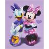 Minnie Mouse Purple