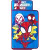 Spidey and His Amazing Friends