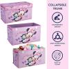 imageIdea Nuova Paw Patrol 4 Piece Storage Solution Set with Pop Up Hamper Collapsible Storage Trunk and 2 Nestable Storage BinsMinnie Mouse