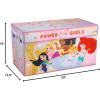 imageIdea Nuova Paw Patrol 4 Piece Storage Solution Set with Pop Up Hamper Collapsible Storage Trunk and 2 Nestable Storage BinsPrincess