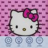 imageIdea Nuova Sanrio Hello Kitty Happy Halloween LED Glowing Holiday Canvas Wall Art for Room Dcor115quotx95quotPink