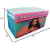 imageDisney Moana Collapsible Storage Trunk Storage Trunk