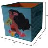 imageDisney Moana Storage Cube Multi