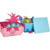 imageIdea Nuova DreamWorks Trolls Poppy Figural 2 Piece Stackable Storage Set pink