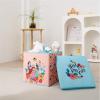 imageIdea Nuova Bluey Collapsible Fabric Storage Cube10 Organizer Bin with Lid for Bedroom Playroom and ClosetPrincess
