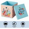 imageIdea Nuova Bluey Collapsible Fabric Storage Cube10 Organizer Bin with Lid for Bedroom Playroom and ClosetPrincess