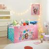 imageHarry Potter Collapsible Storage Trunk with Lid 28quot W x 16quot D x 145quot HGabbys Dollhouse