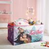 imageHarry Potter Collapsible Storage Trunk with Lid 28quot W x 16quot D x 145quot HRaya and The Last Dragon