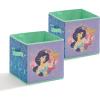 imageIdea Nuova Aladdin Set of 2 Durable Storage Cubes with Handles