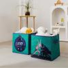 imageIdea Nuova Star Wars Darth Vader and Luke Skywalker Set of 2 Durable Storage Cubes with Handles 10quotx10quotx10quot Cubes