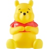 Winnie The Pooh