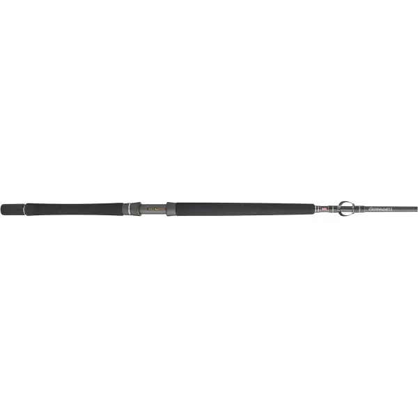 PENN Carnage II &amp; Carnage III Boat Conventional Fishing Rod)