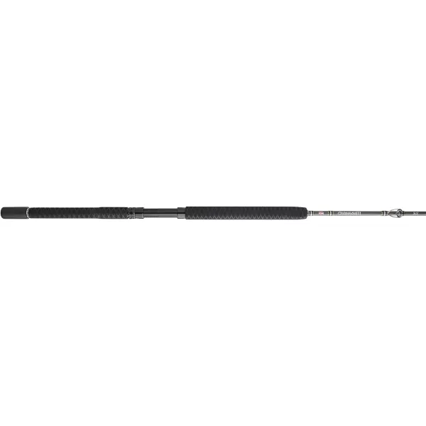 PENN Carnage II &amp; Carnage III Boat Conventional Fishing Rod)
