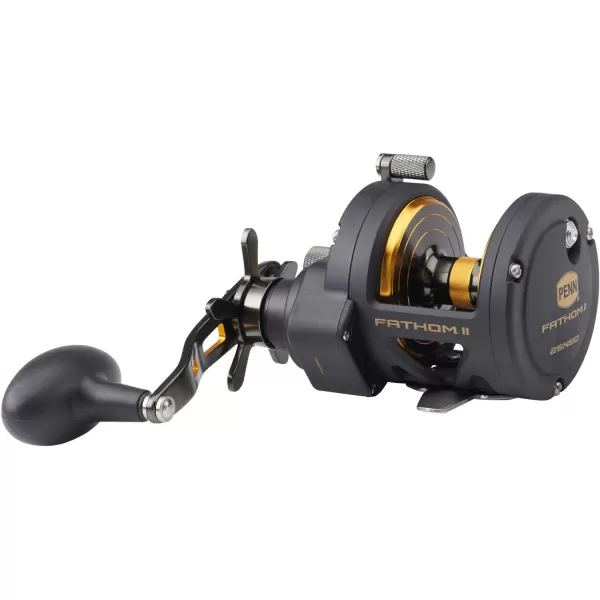 PENN Fathom II Star Drag Conventional Fishing Reel, Black Gold, 25N
