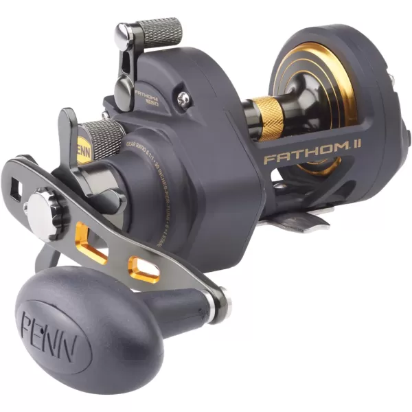 PENN Fathom II Star Drag Conventional Fishing Reel, Black Gold, 25N