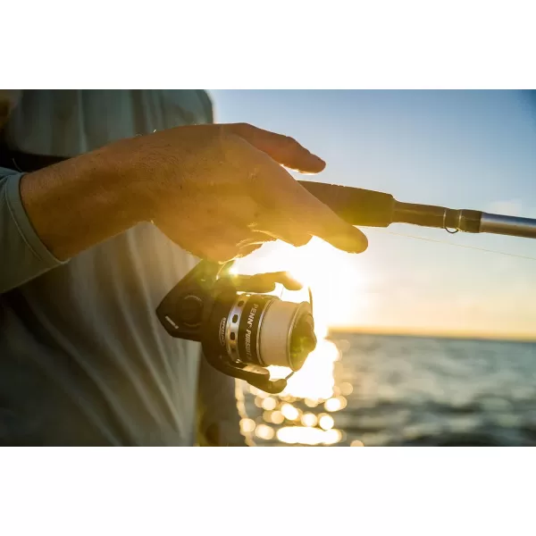 PENN Pursuit III &amp; Pursuit IV Spinning Reel and Fishing Rod Combo