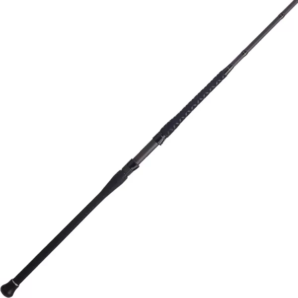 PENN Squadron III Surf Spinning Fishing Rod