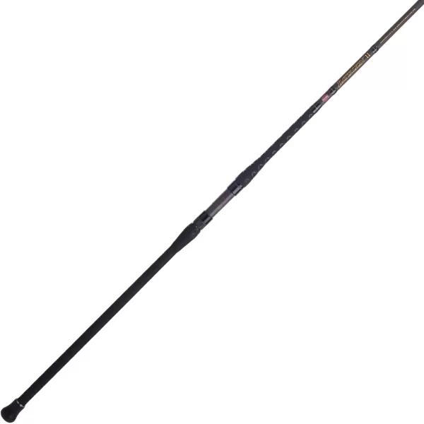 PENN Squadron III Surf Spinning Fishing Rod
