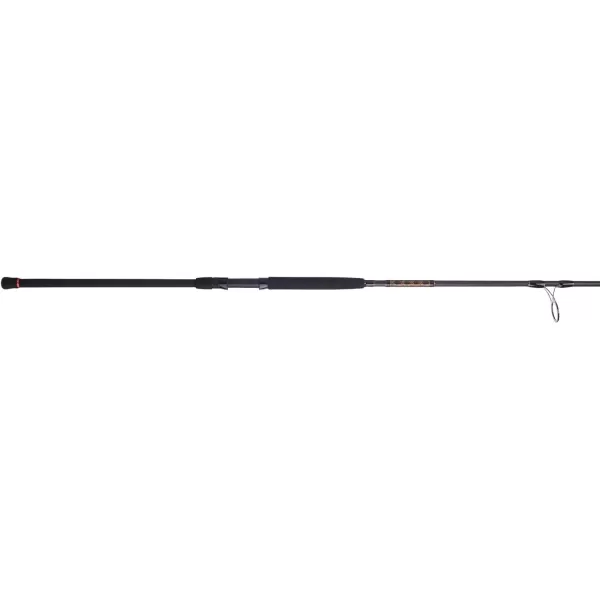 PENN Squadron III Surf Spinning Fishing Rod