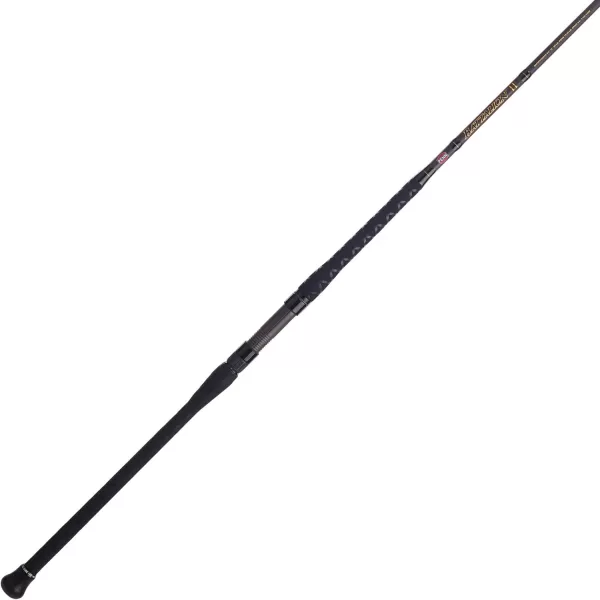 PENN Squadron III Surf Spinning Fishing Rod