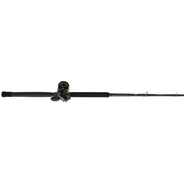 PENN Squall II Lever Drag Fishing Rod &amp; Reel Combo