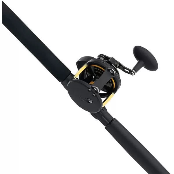 PENN Squall II Lever Drag Fishing Rod &amp; Reel Combo