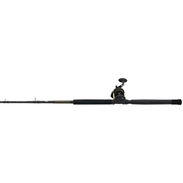 PENN Squall II Lever Drag Fishing Rod &amp; Reel Combo