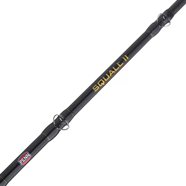 PENN Squall II Lever Drag Fishing Rod &amp; Reel Combo