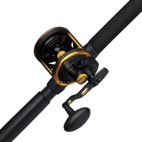 PENN Squall II Lever Drag Fishing Rod &amp; Reel Combo
