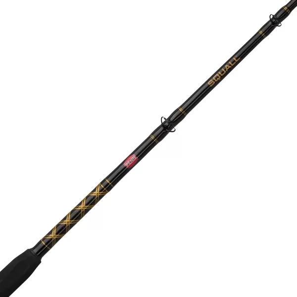 PENN Squall II Lever Drag Fishing Rod &amp; Reel Combo