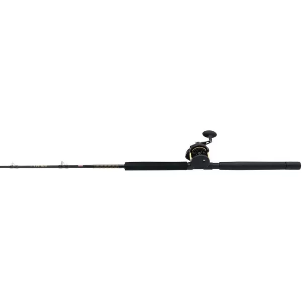 PENN Squall II Lever Drag Fishing Rod &amp; Reel Combo