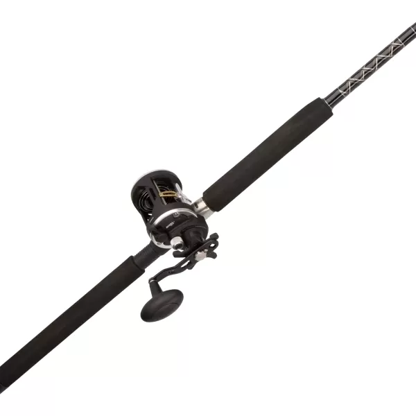 PENN® Rival™ Levelwind Combo